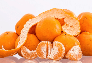 생방송오늘저녁 논산 황금향 택배 주문