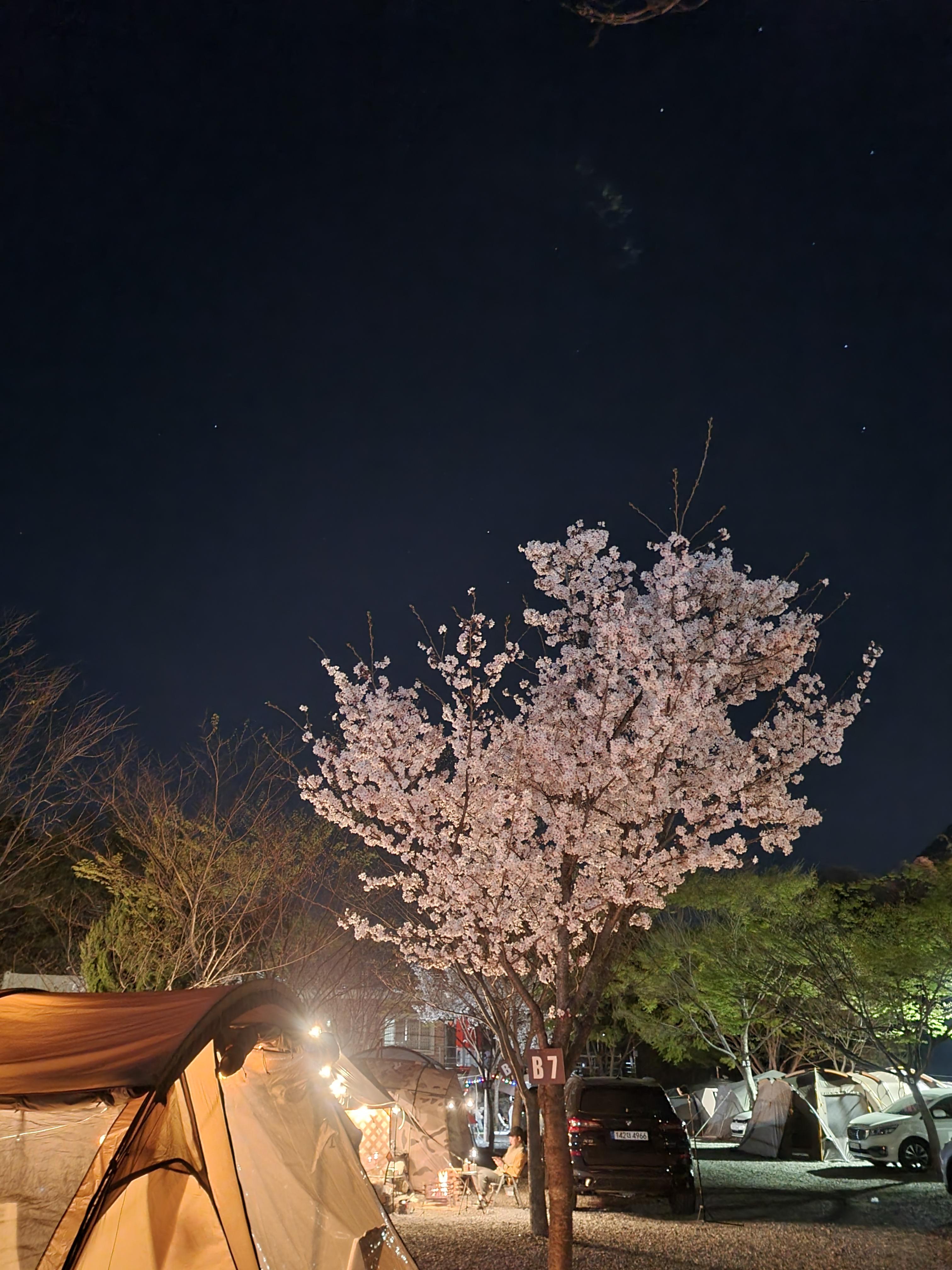 밀양 산여울 캠핑장