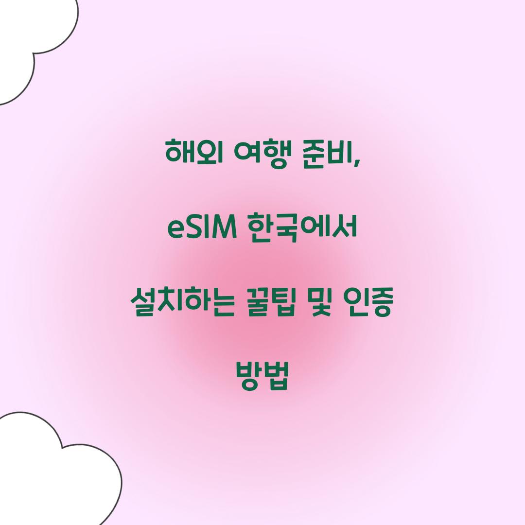 eSIM 한국에서 설치