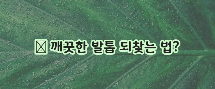 발톱무좀 병원 어디로 가야 할지 고민이라면, 확실하게 알아보세요!