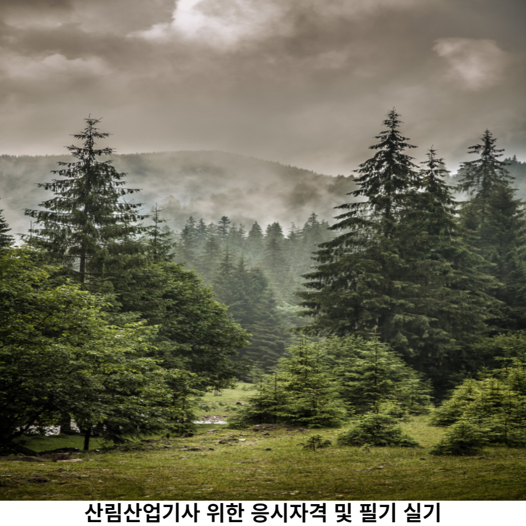산림산업기사