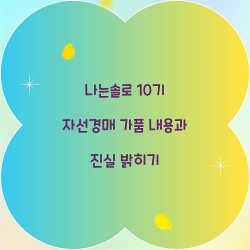 나는솔로 10기 자선경매 가품 내용