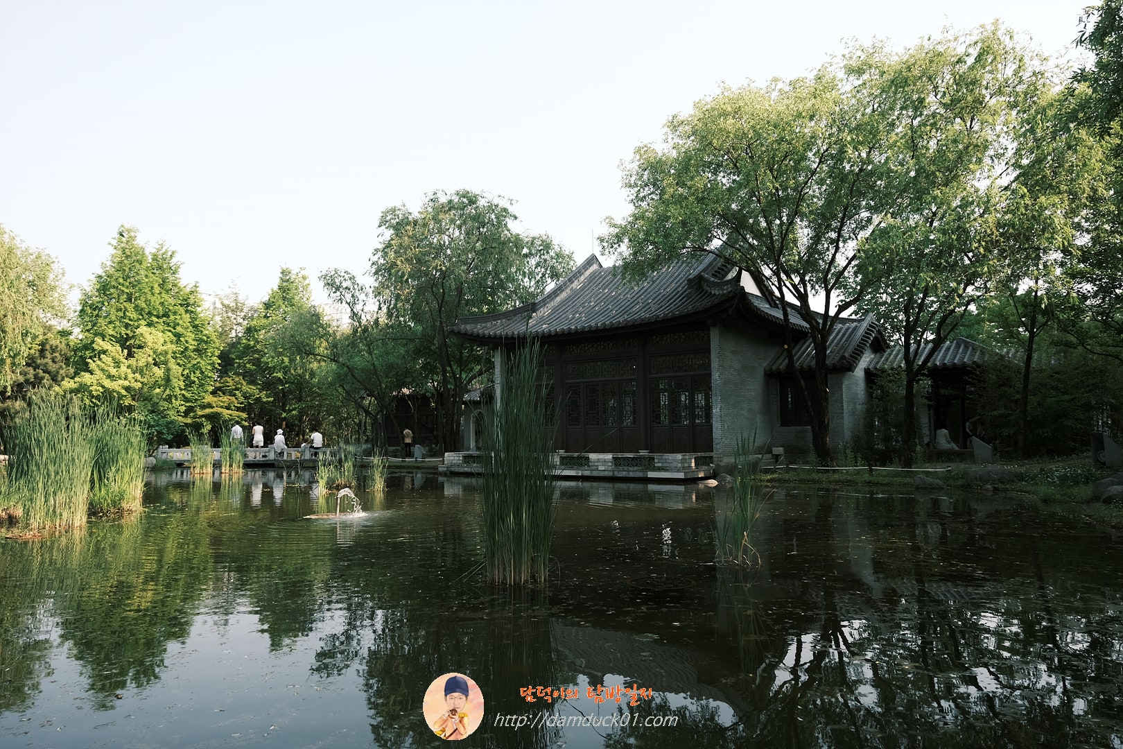 월방에서 바라 본 경치