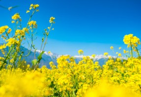 제주-한-달-살기-1