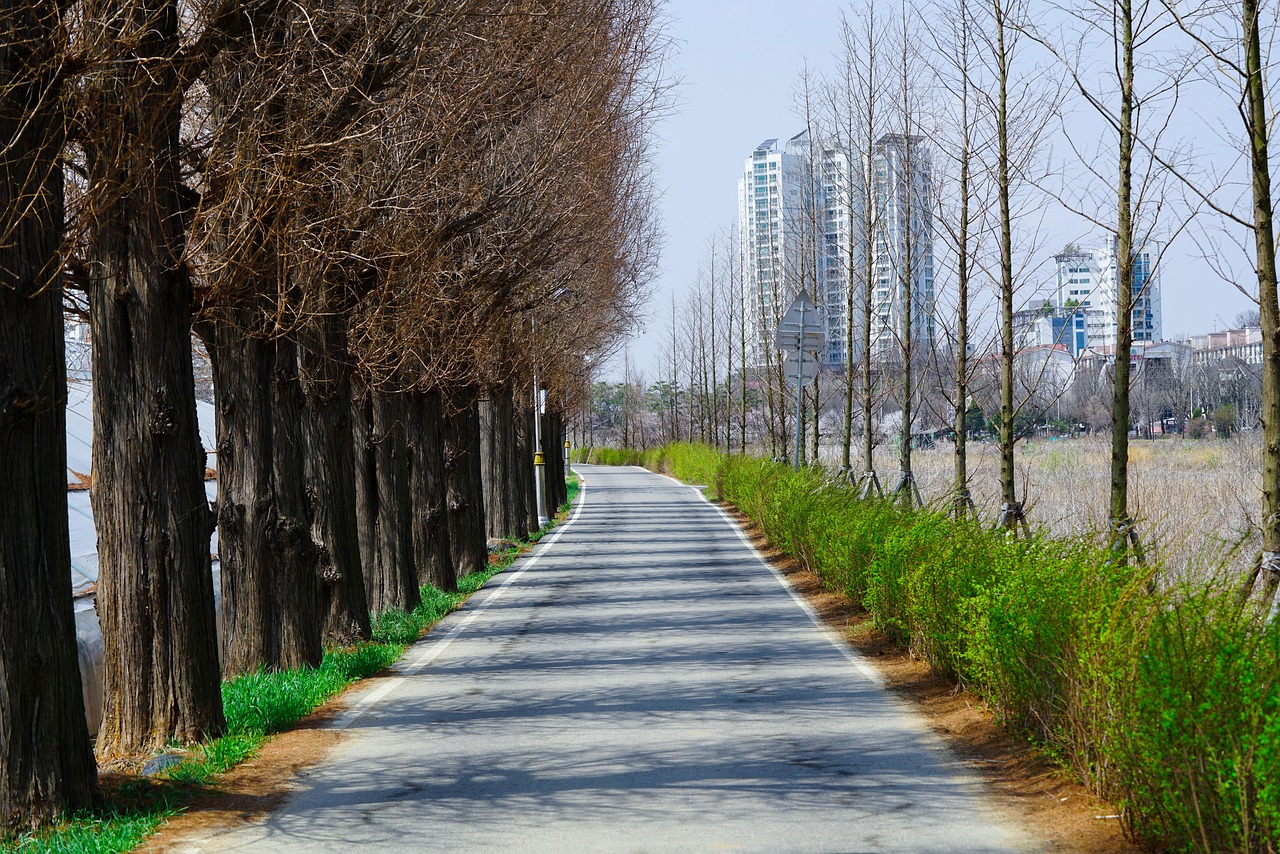 드라이브하기 좋은 한적한 도로
