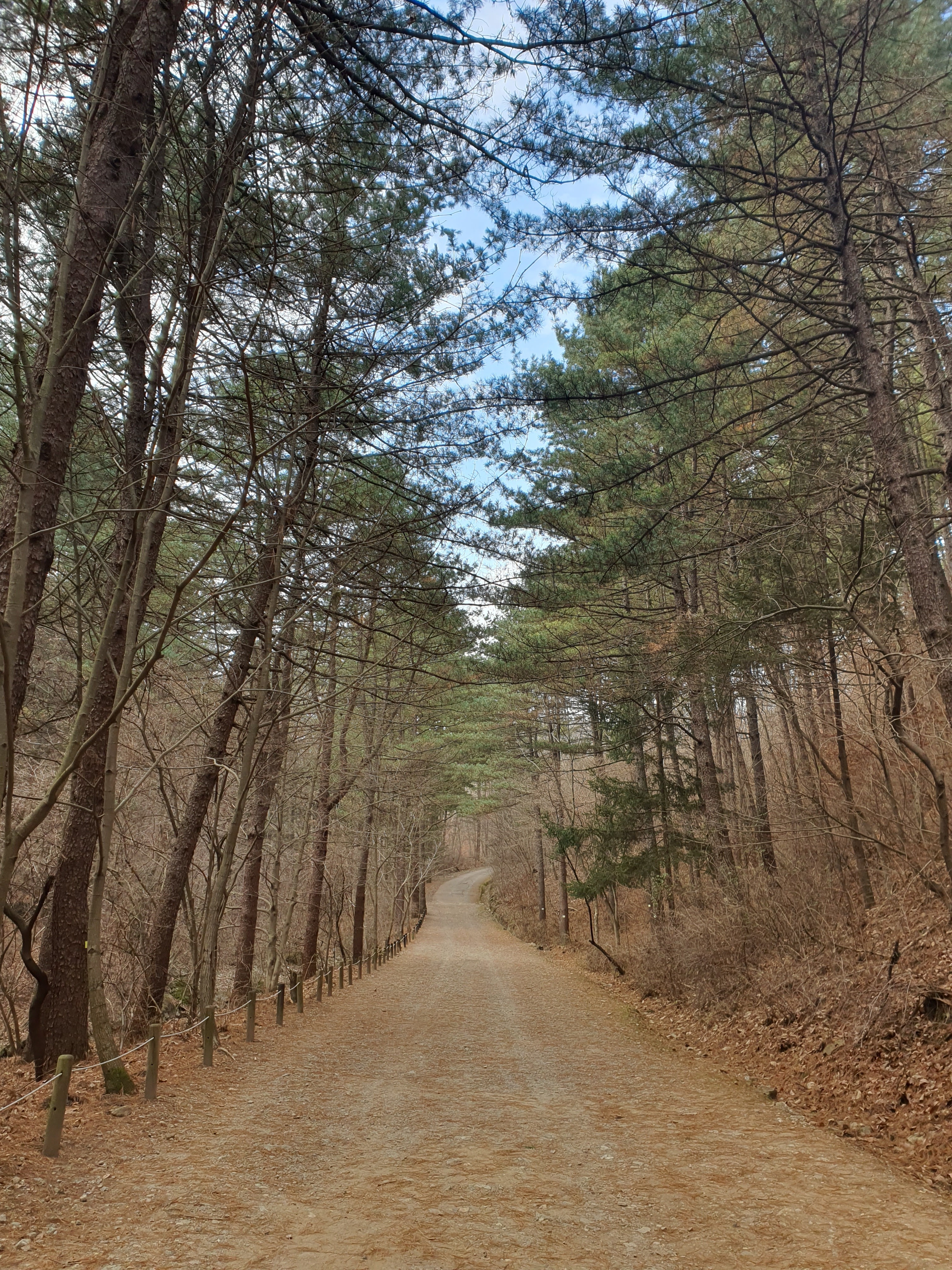 국립 수목원 예약