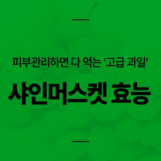 샤인머스켓 효능