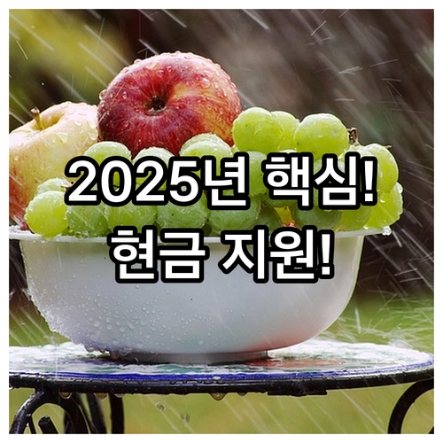 포천시 과수 농업인 2025 공동선별..