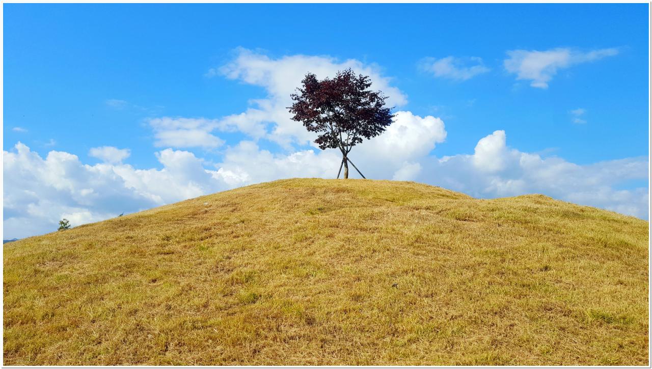 캠핑의 성지, 자라섬캠핑장 소개