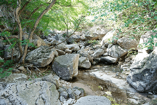 설악동04