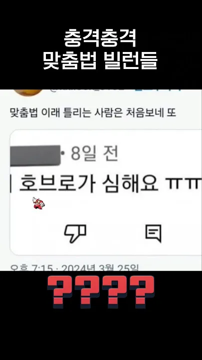 보내 보네 헷갈리는 맞춤법 올바른 표기 완벽 정리_4