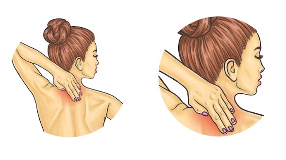 승모근 그림입니다.