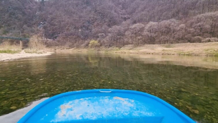 생방송투데이 이 주의 장바구니 맑은 강의 보물 영월 다슬기 주문방법 아띠라이프 생방송투데이 3781회