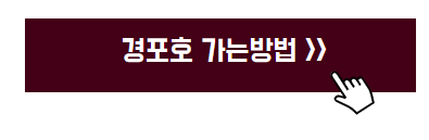 강릉 여행코스 추천