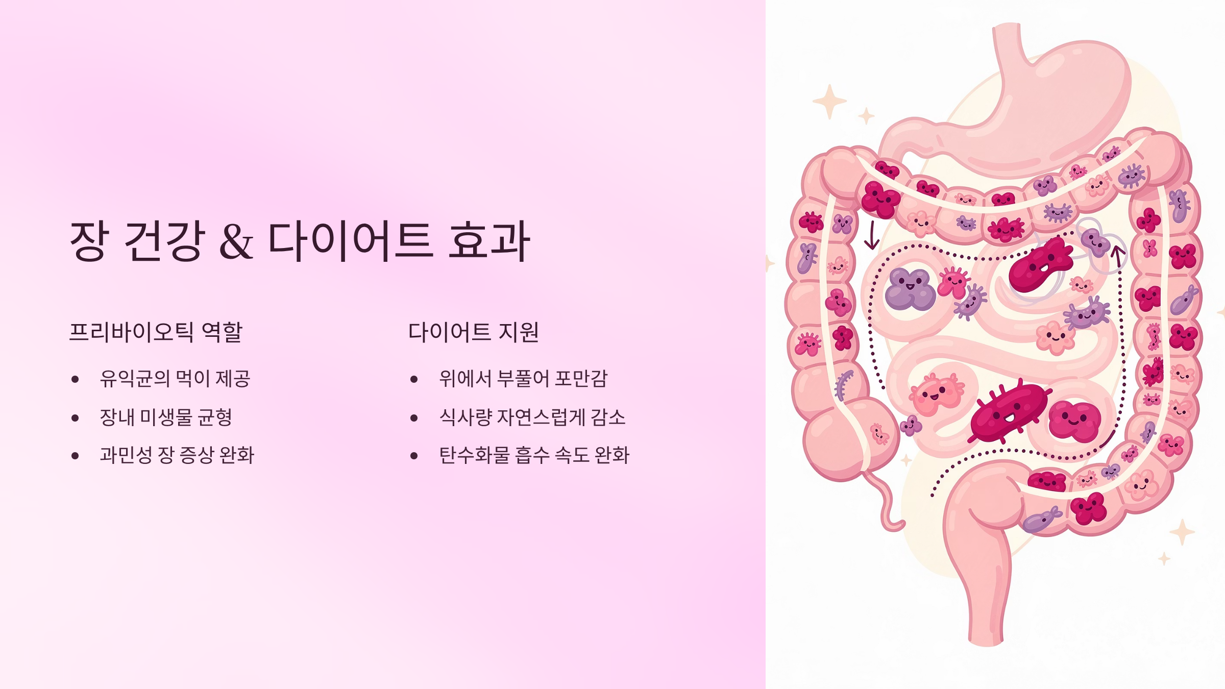 차전자피의 효능 A to Z – 차전자피 먹는법과 부작용 주의사항