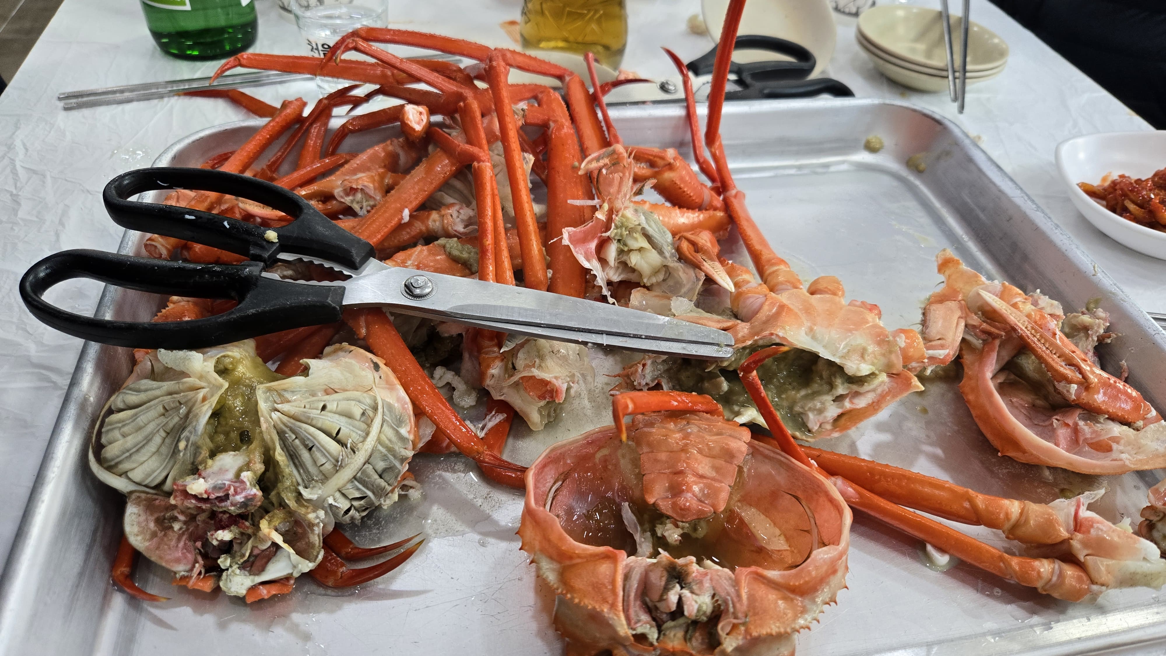 역시 주문진 대게다 모두 감탄