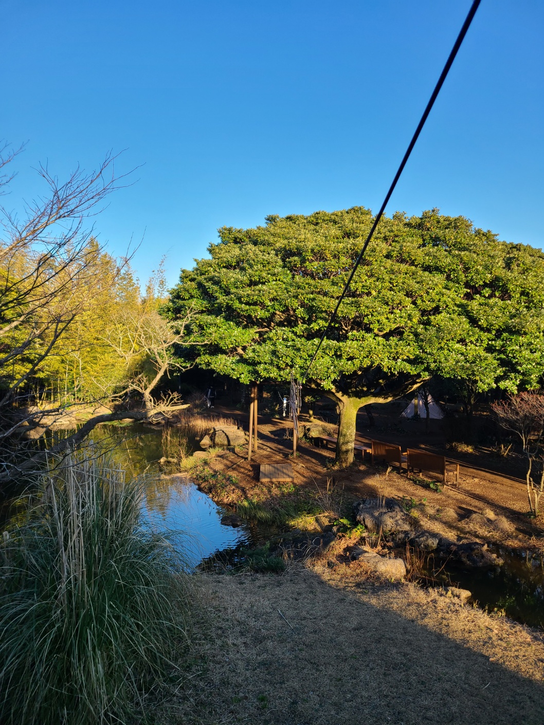제주 스누피가든