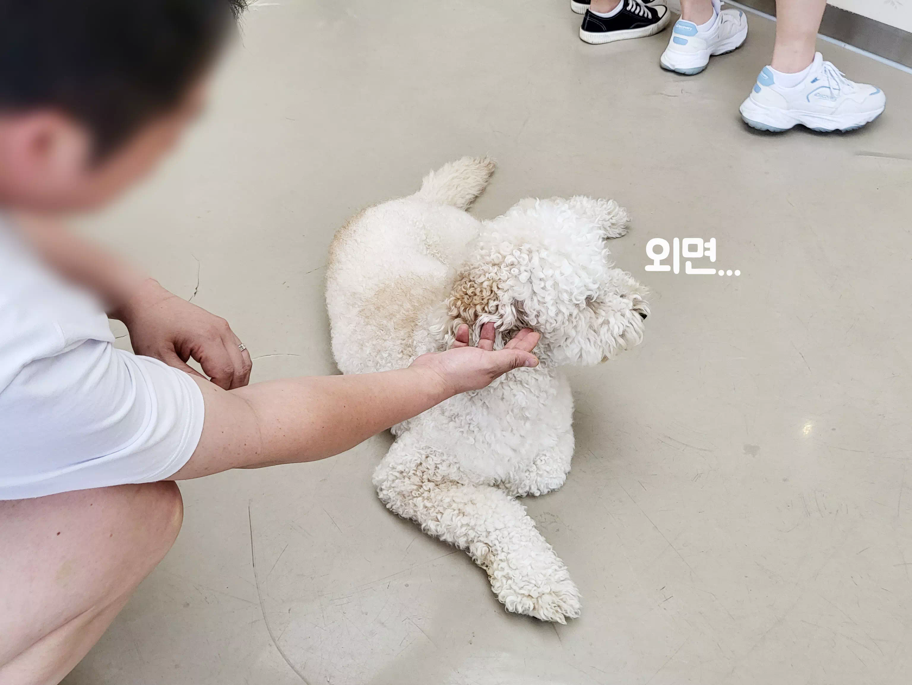 외면하는 오후