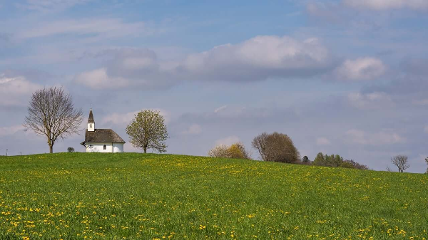 종교개혁과 기독교 신학의 변화