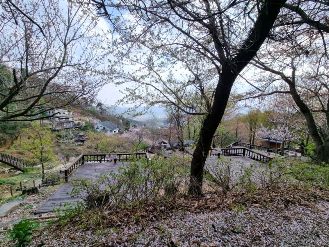 용문산 자연휴양림