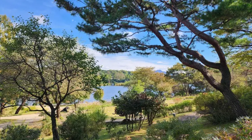 호암미술관-입장료-무료입장-주차요금-관람시간-휴관일