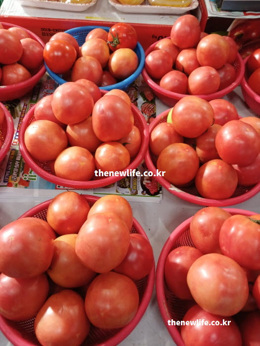 혈관 노화를 막고 혈압을 젊게 유지하는 고혈압에 좋은 음식 과일 토마토 실물 사진