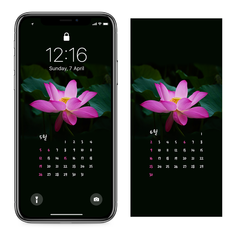08 연꽃잎 사이로 보이는 꽃턱 AB - 2024년5월 아이폰달력배경화면