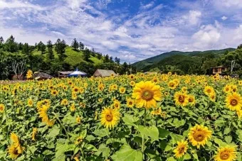 7월 국내여행하기 좋은곳 추천 10곳 완벽 여행 가이드북_22