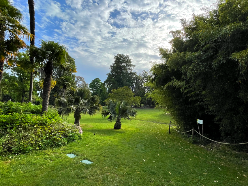 보르도 식물원 다양한 수종