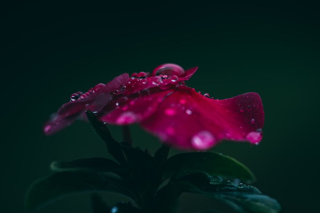 Moisture