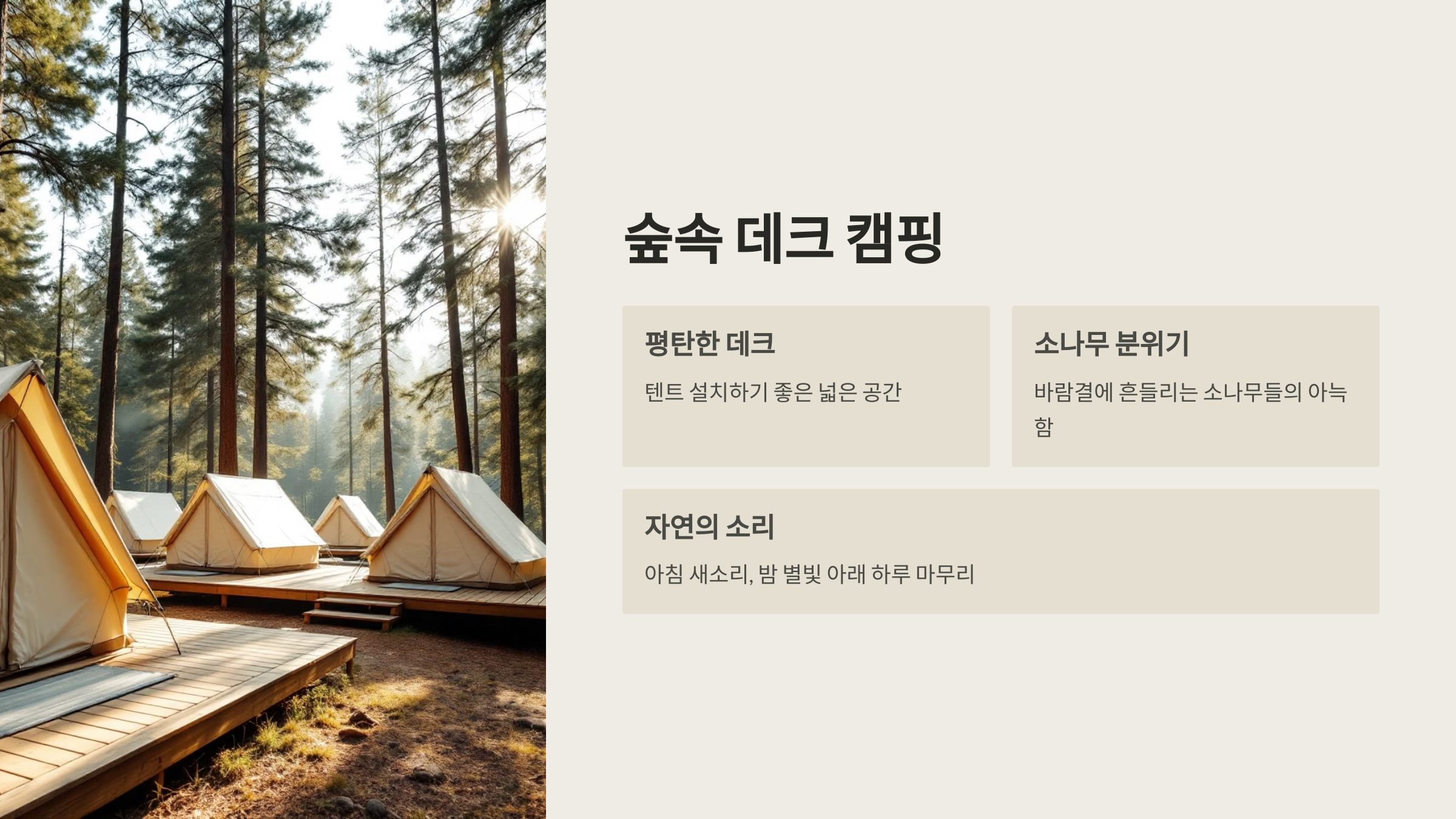 🏕️인제 내린천솔밭힐링캠핑장, 자연 그대로의 쉼터!