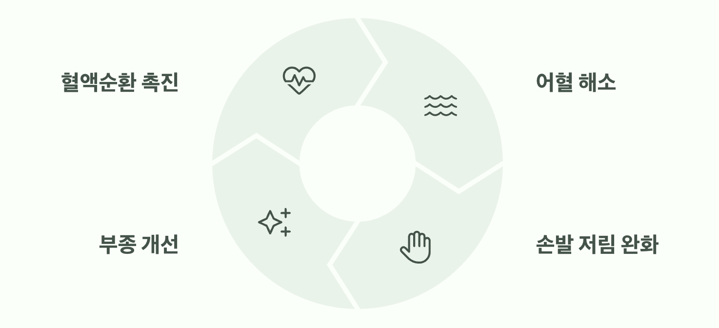 혈액순환, 몸의 막힌 길을 뚫다