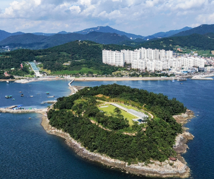 장도