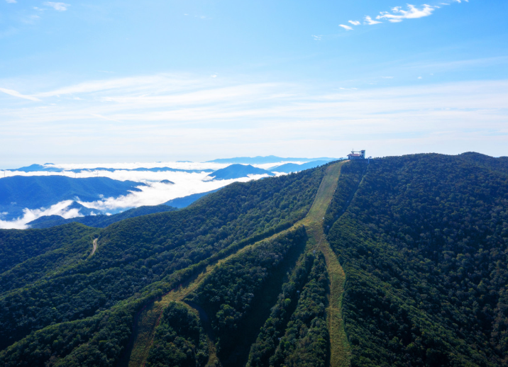 강원도 평창 발왕산과 천년주목숲길 정보