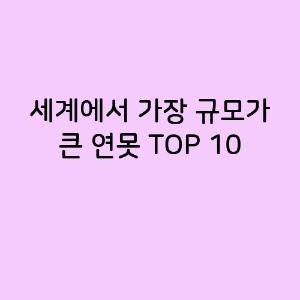 세계에서 가장 규모가 큰 연못 TOP 10