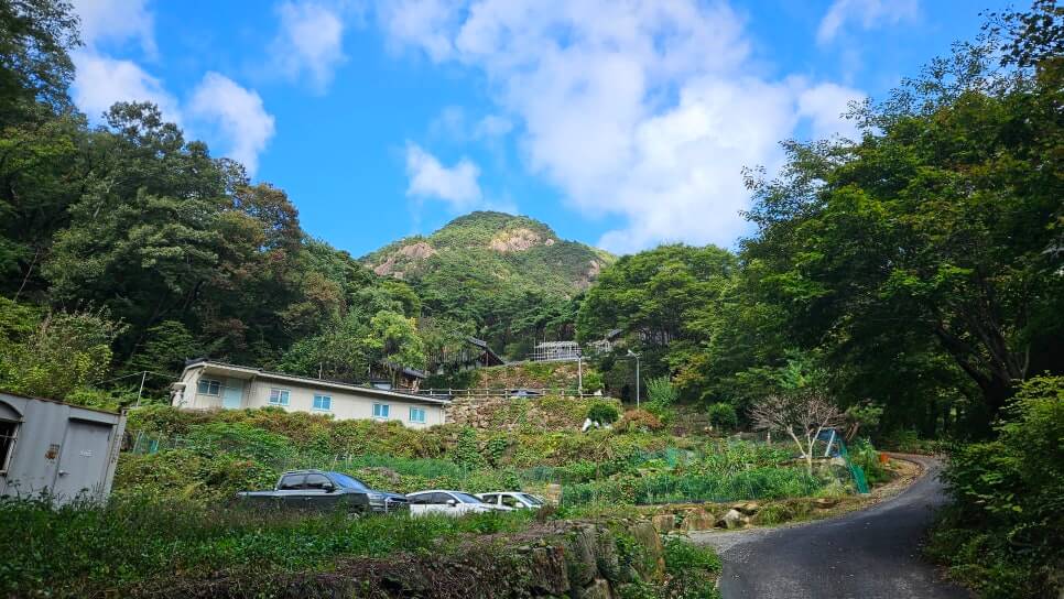 제천 무암사 : 금수산 안개 속에 숨겨진 천년 고찰 소의 전설과 신비로움을 간직한 사찰