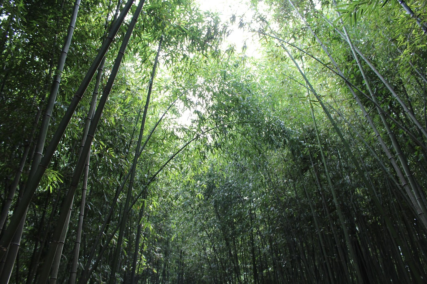 담양 가볼만한곳 베스트 10 담양 가볼만한곳 베스트 10
