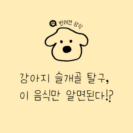 강아지관절에좋은음식