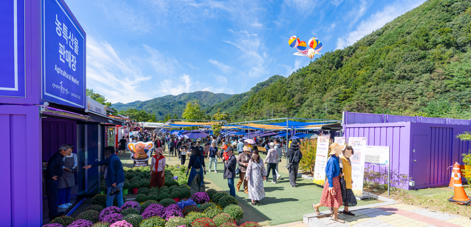 인제가을꽃축제