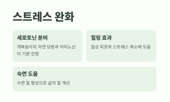 개복숭아효소의 효능 한눈에 보기 11