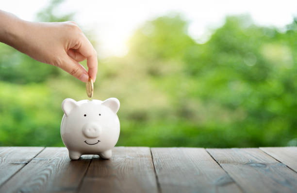 기초연금 부부감액