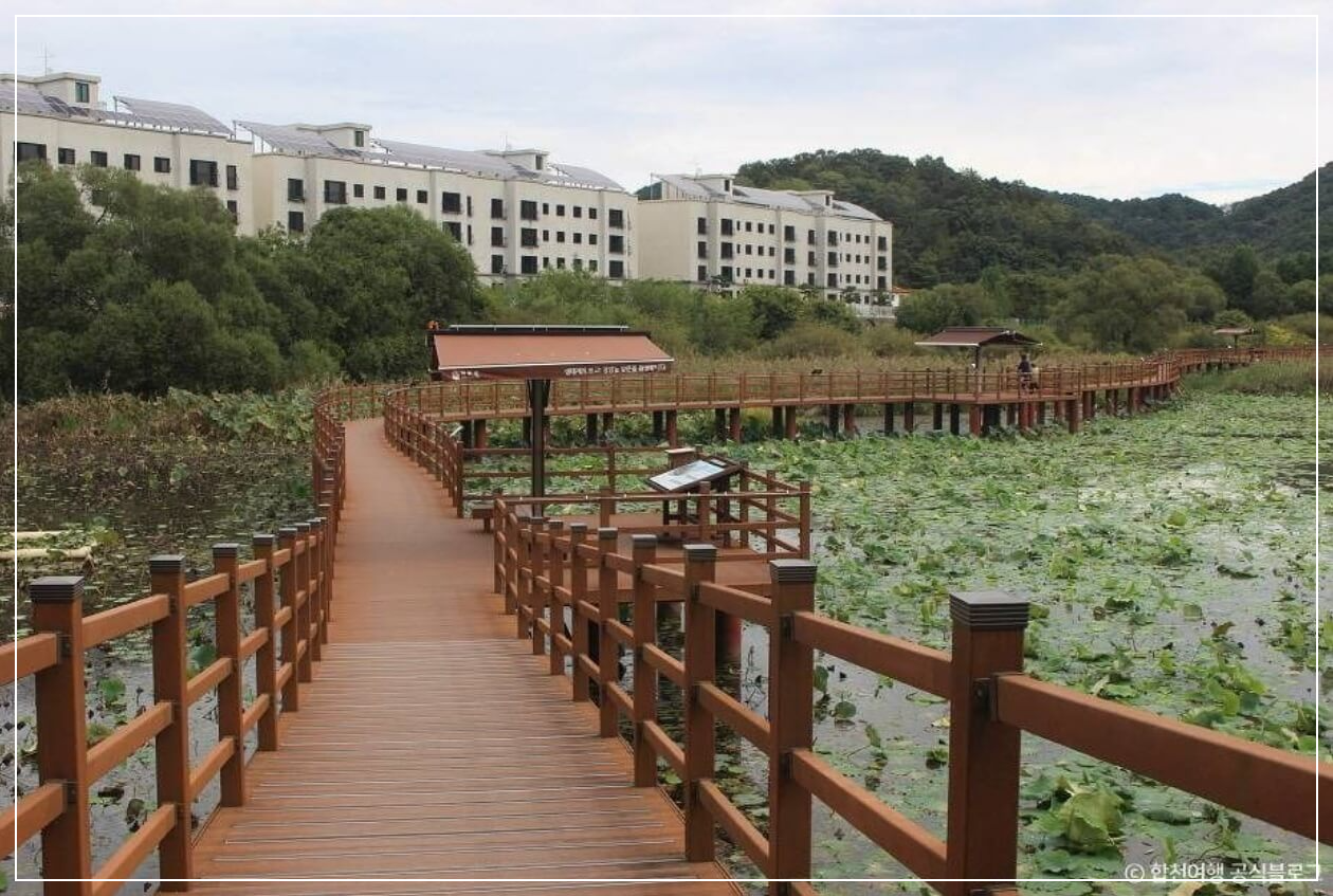 합천 가볼만한곳 베스트10 합천 정양늪 생태공원