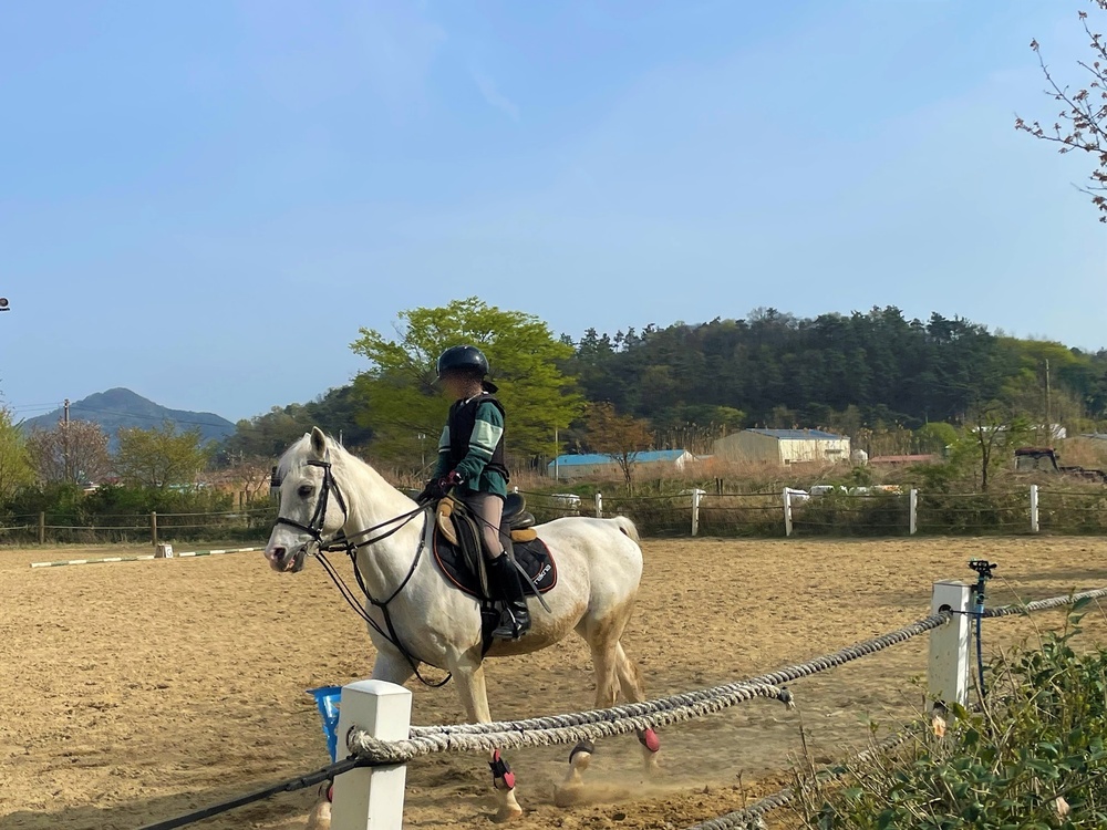초중고생 누구나! 일반승마 213명, 사회공익승마 1명 선발 '기회' - 나주시청