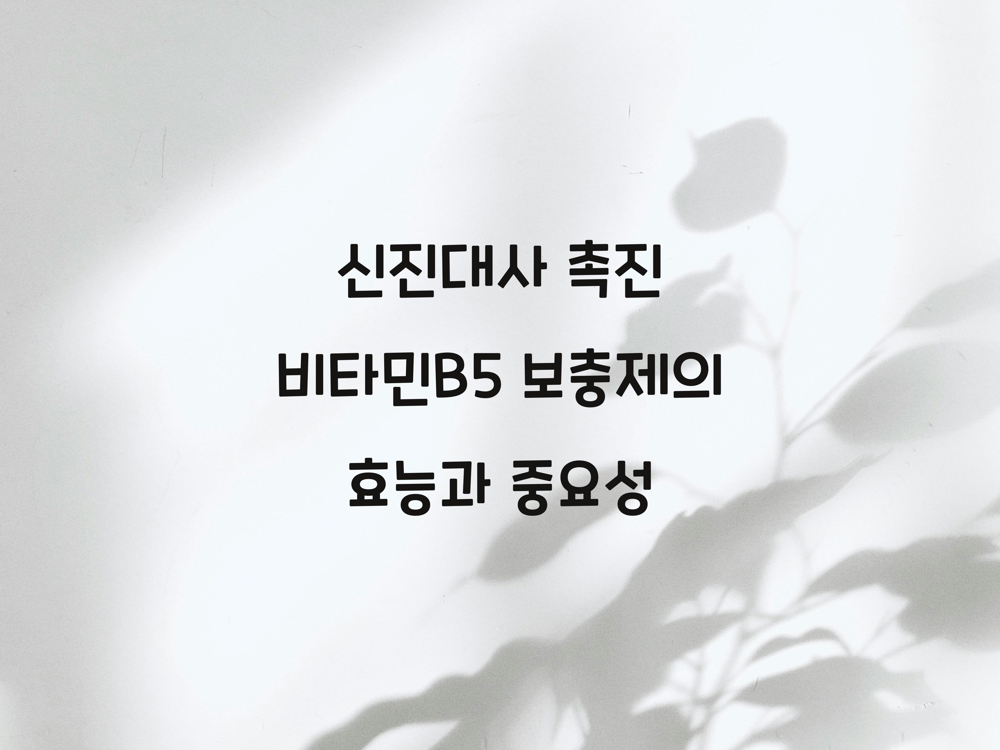 신진대사 촉진 비타민B5 보충제