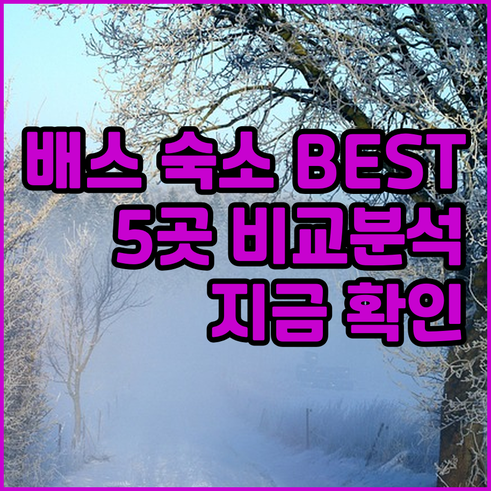 배스 숙소 추천 5곳 비교분석