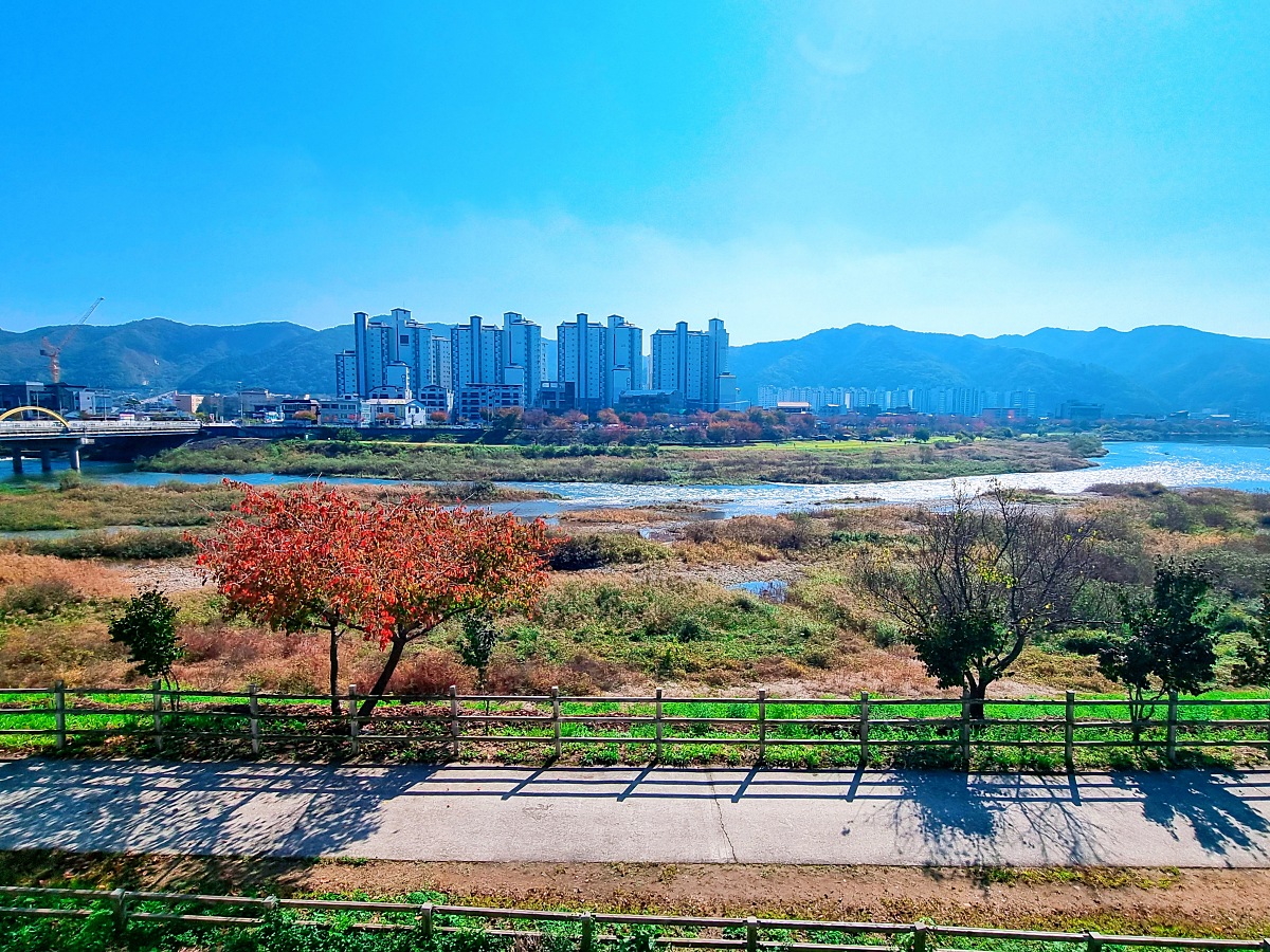 강원도 홍천 테샤로바 카페: 홍천강뷰 그리스식 감성 맛집, 쿠폰 정보