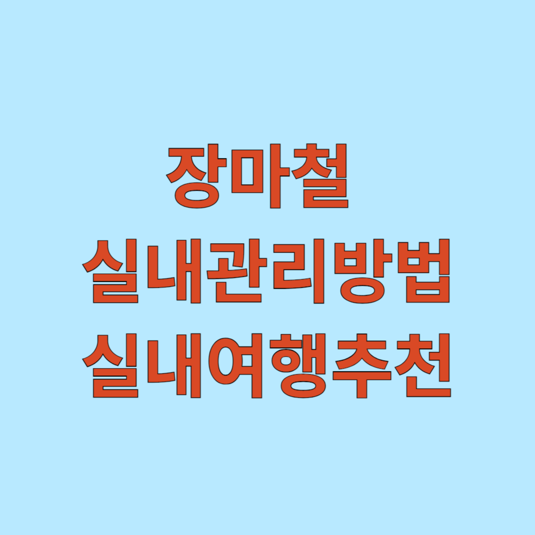 장마철 실내관리 방법 및 실내여행추천