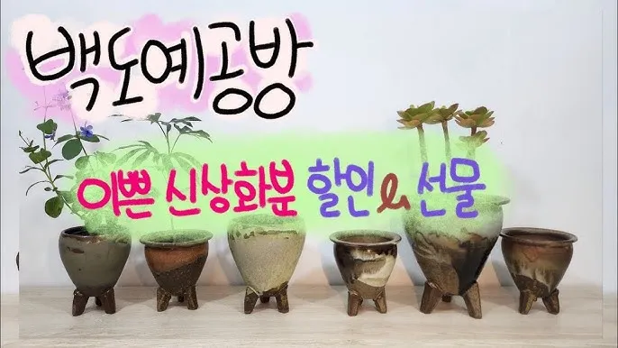 유약분 화분 장단점 통풍관리 물주기주의 실내적합성 체크_1