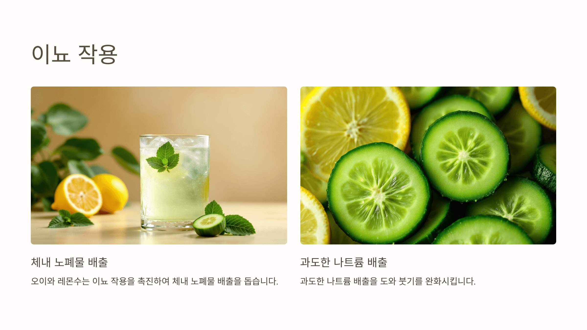 오이 레몬수 사진입니다.