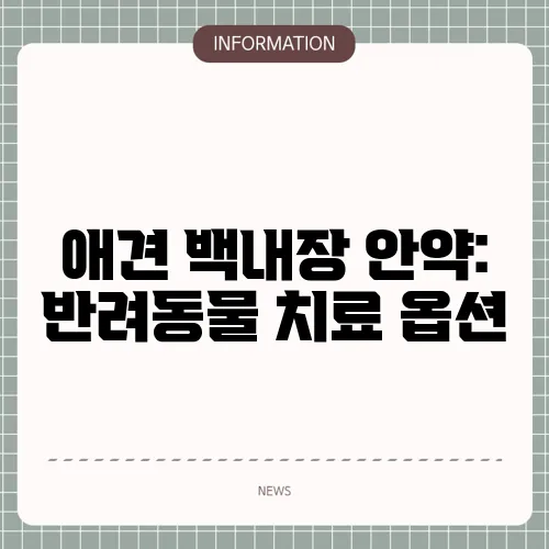 애견 백내장 안약: 반려동물 치료 옵션